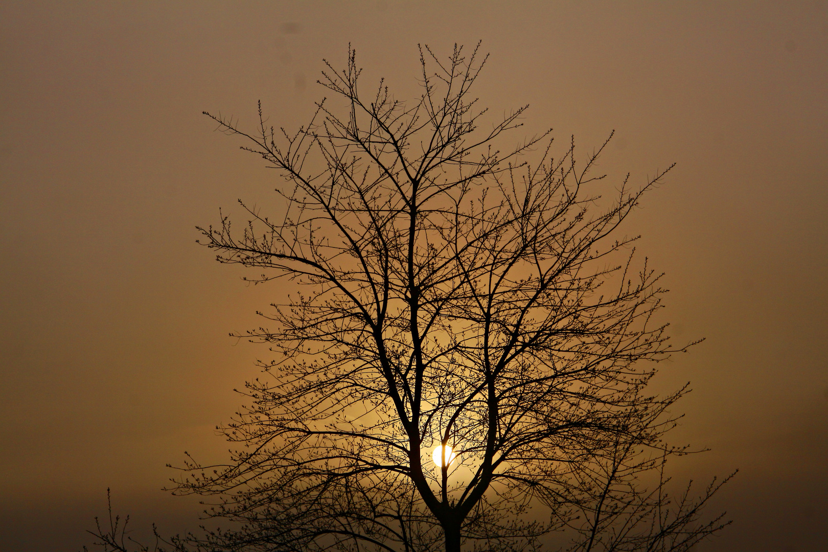 Die Sonne kommt durch.