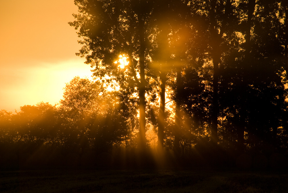 Die Sonne kommt...