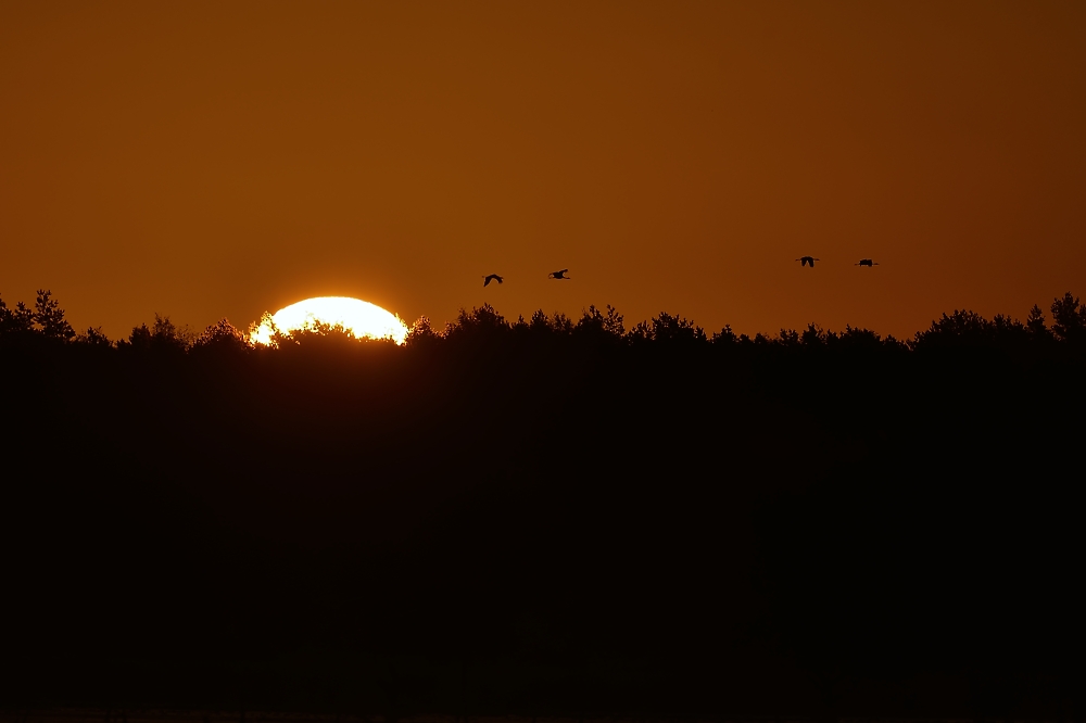 Die Sonne kommt hoch