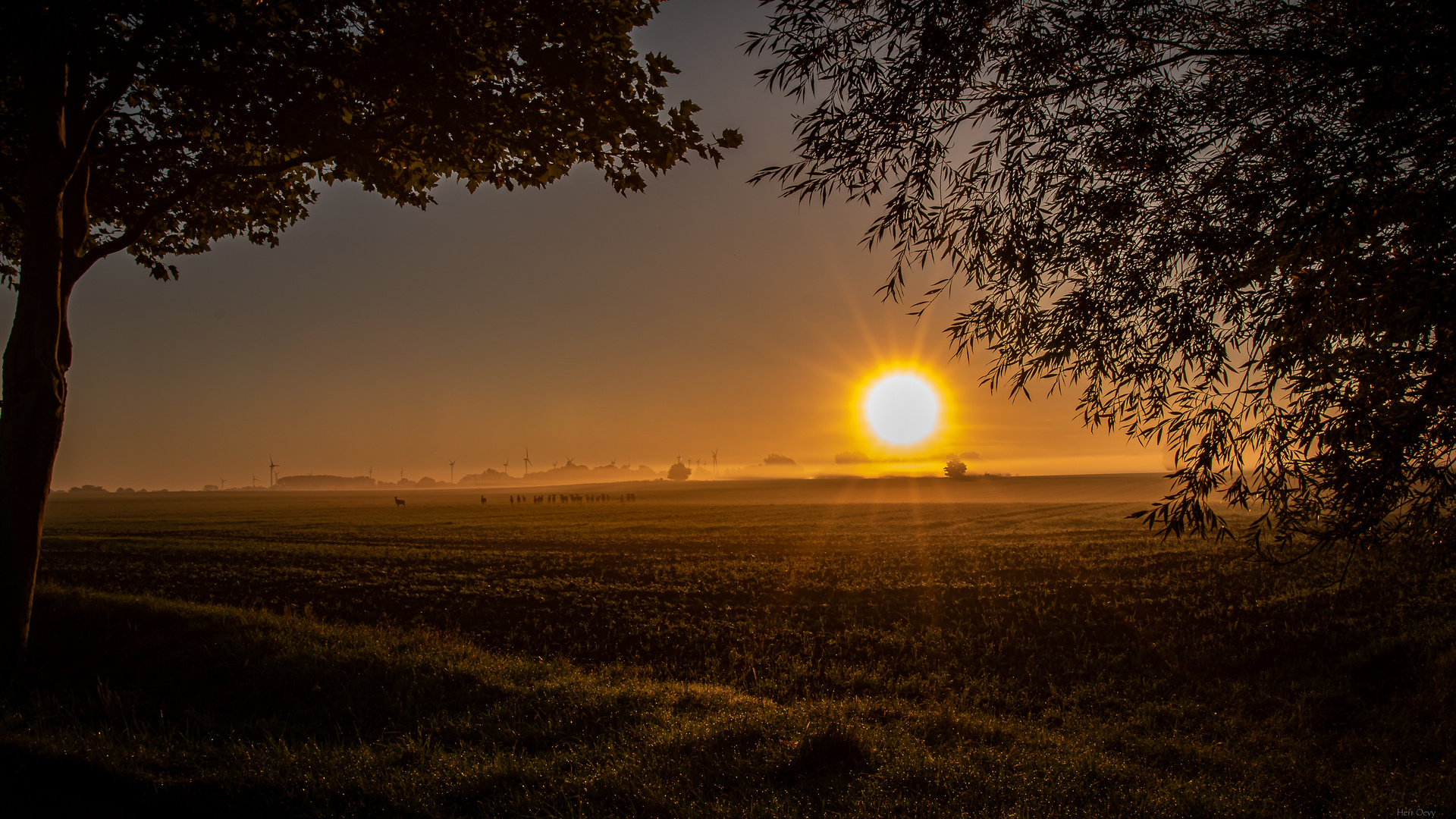 Die Sonne kommt raus