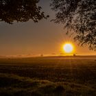 Die Sonne kommt raus