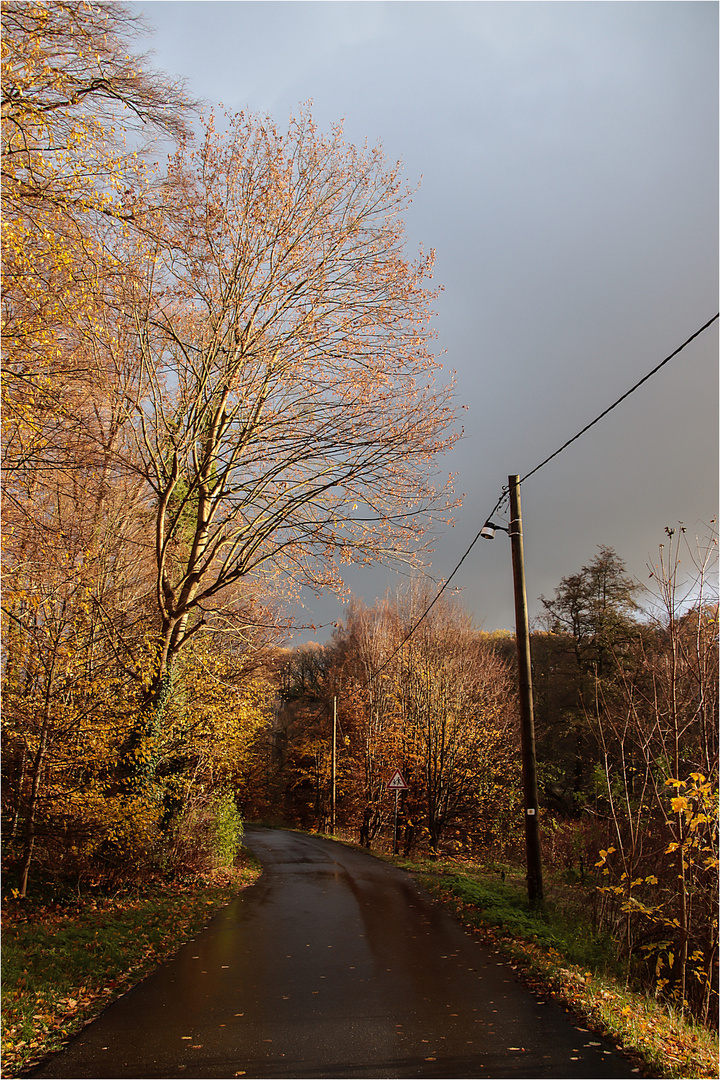 Die Sonne kommt raus