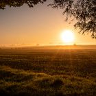 Die Sonne kommt raus 2