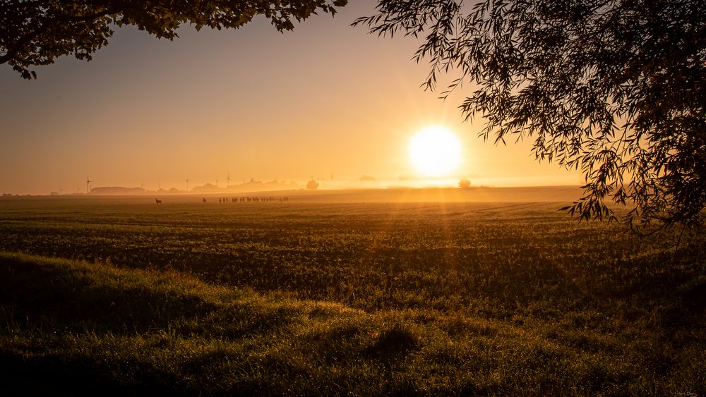 Die Sonne kommt raus 2