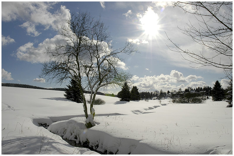 die Sonne kommt raus....