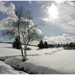 die Sonne kommt raus....