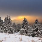 Die Sonne kommt raus...oder vielleicht auch nicht