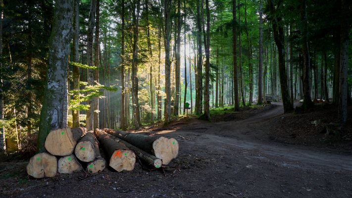 Die Sonne kommt über den Berg
