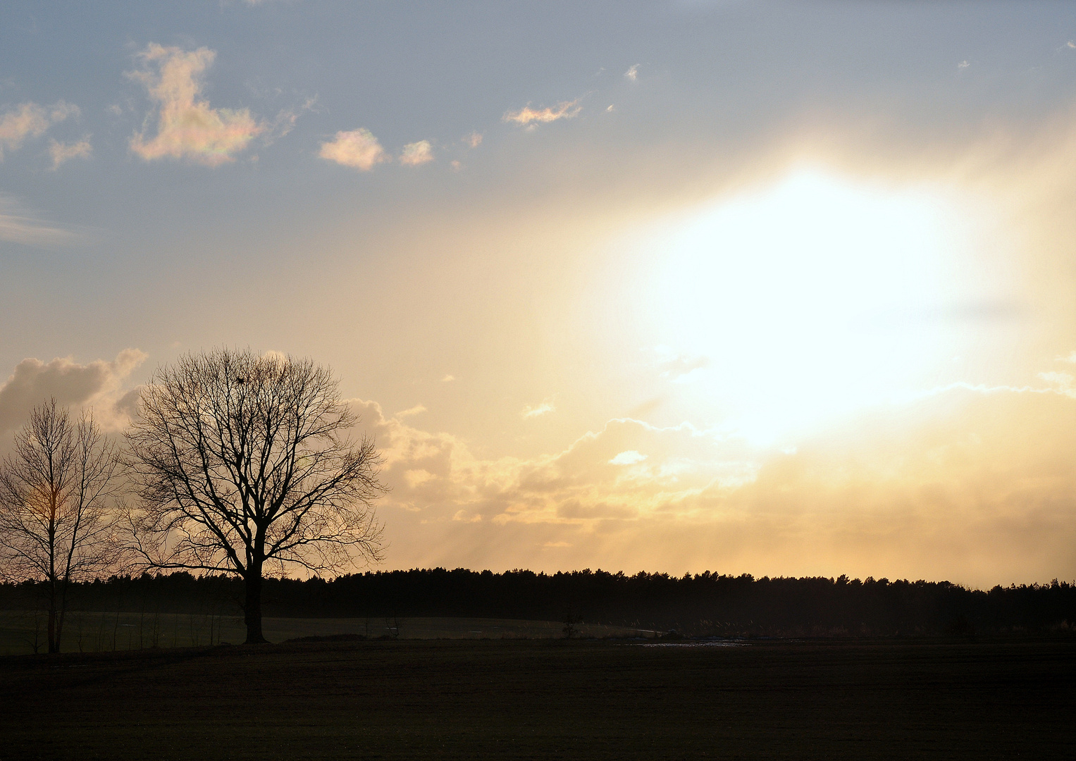 Die Sonne kommt wieder