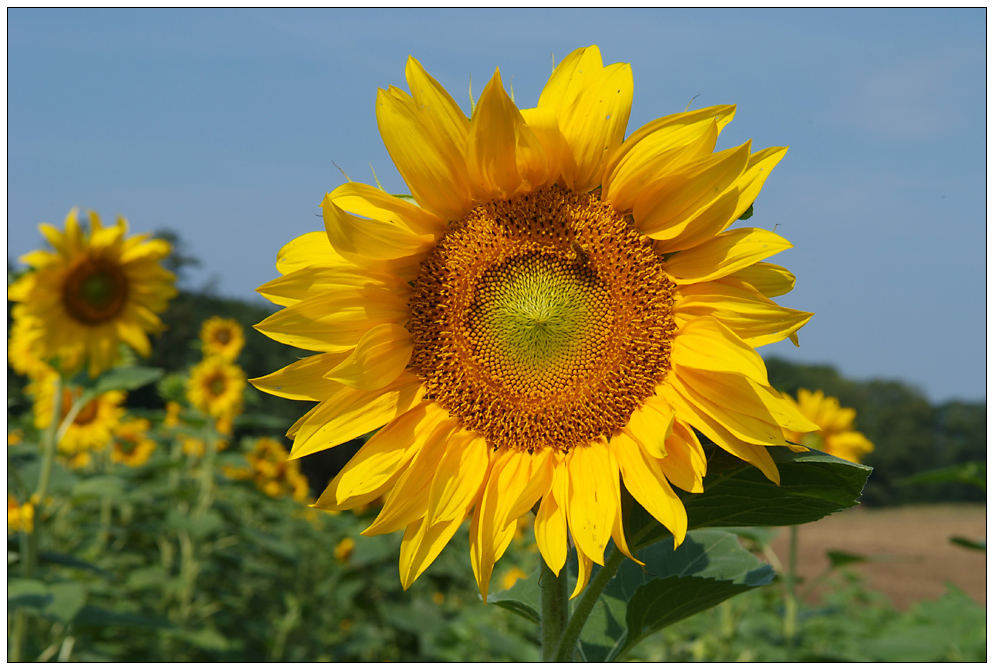 Die Sonne kommt wieder.