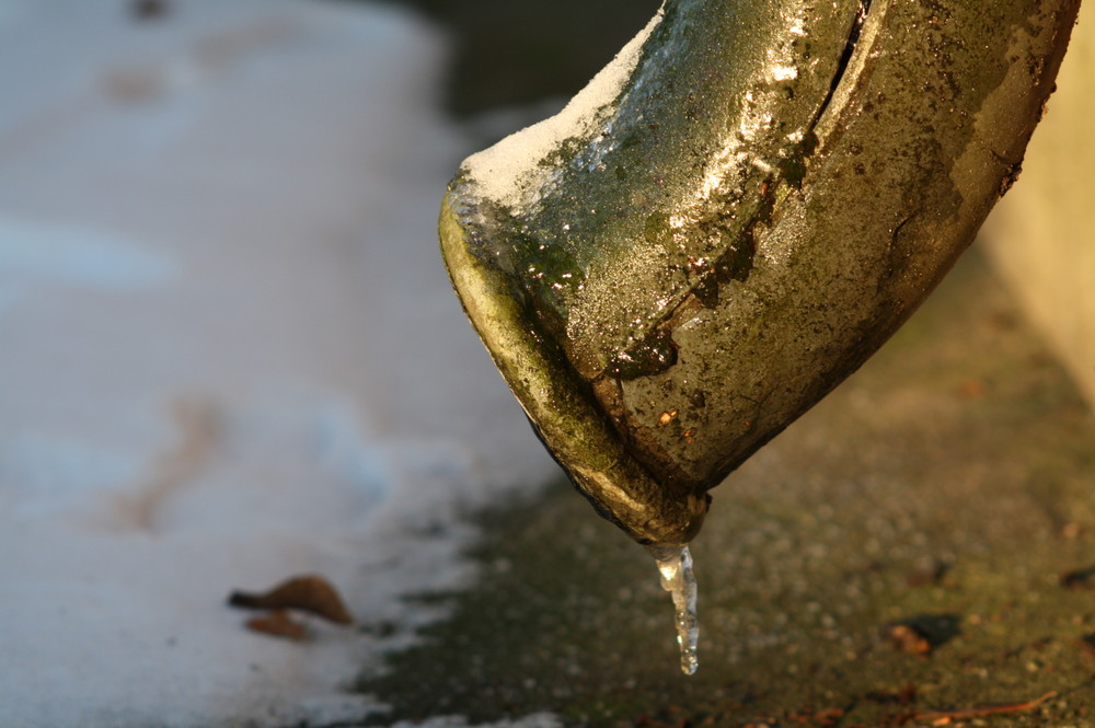 " Die Sonne kriegt auch den letzten Frost ! "