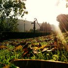 Die Sonne küsst den Horizont , es ist herbst