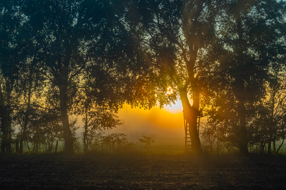 Die Sonne küsst den Tag