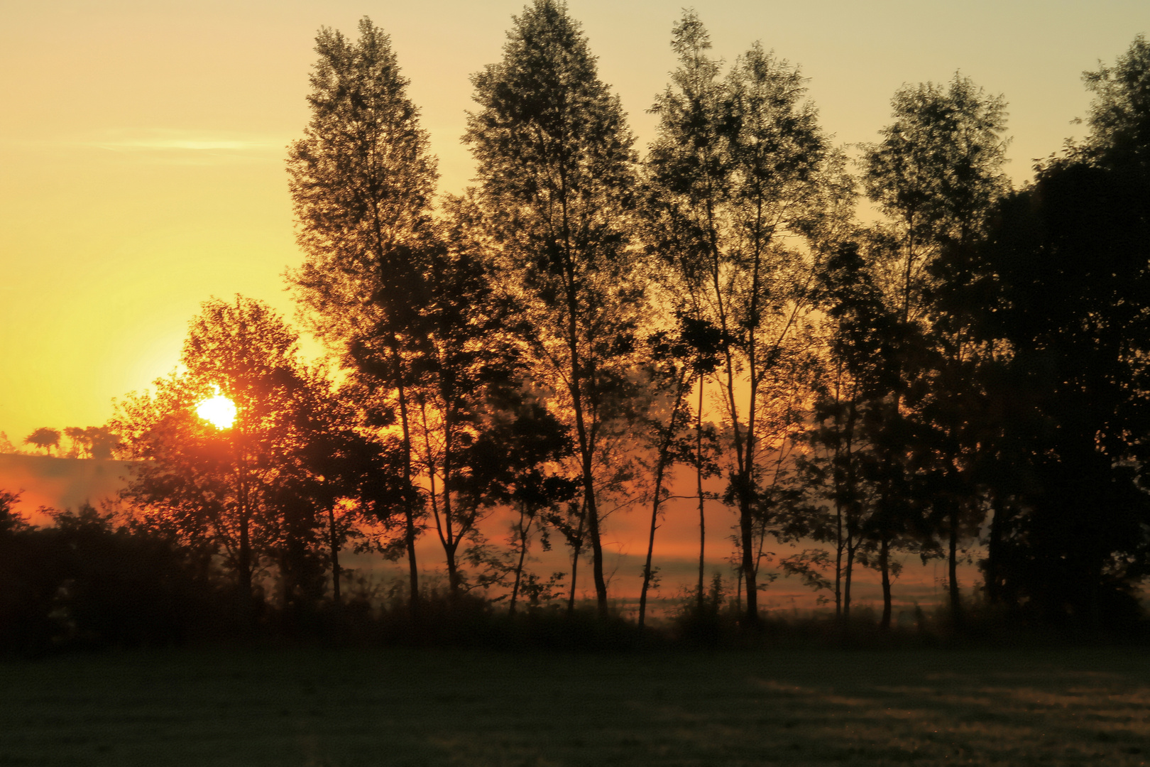 Die Sonne küsst die Erde wach