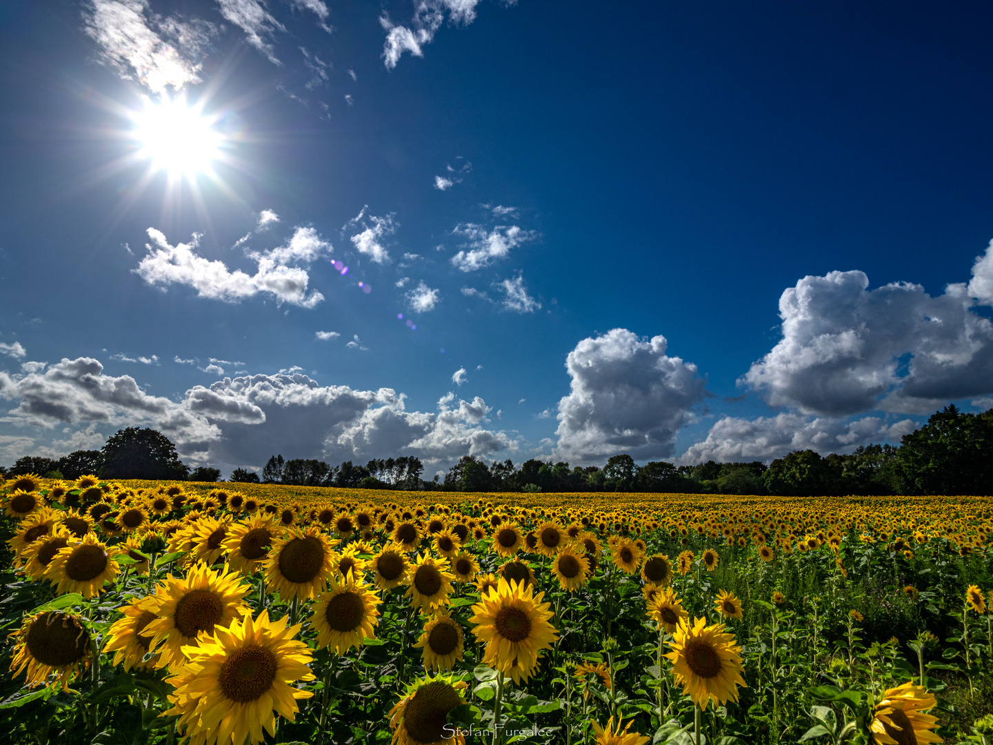 Die Sonne Lacht wieder.