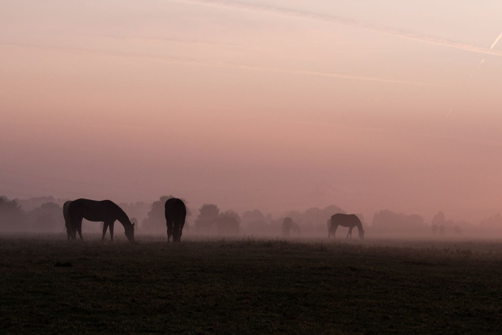 Die Sonne lässt den Nebel weichen