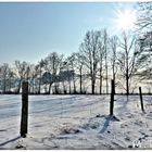 Die Sonne lässt sich auch mal wieder blicken in dieser winterlichen Landschaft 