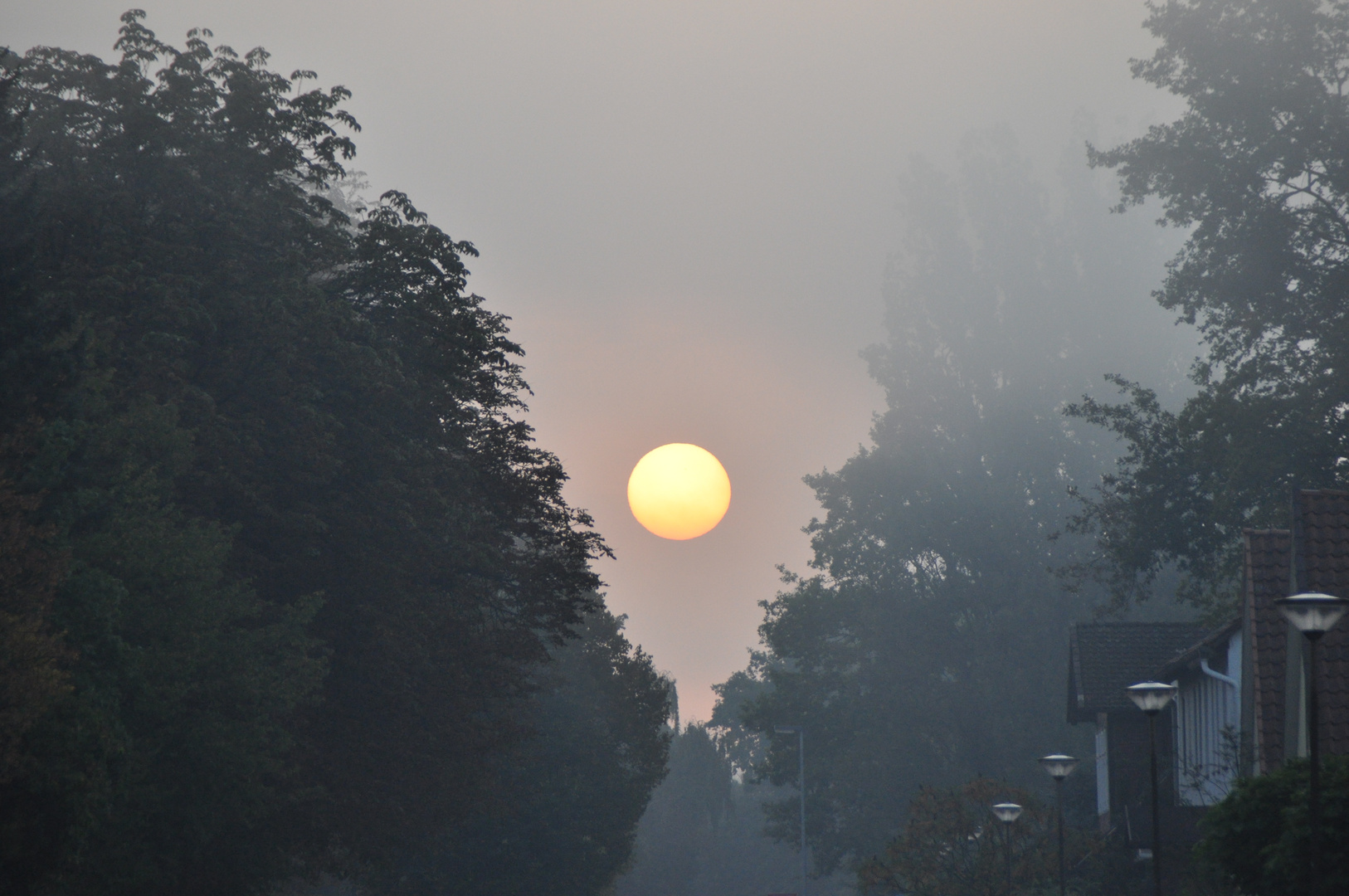 Die Sonne leuchtet uns am Feiertag