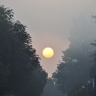 Die Sonne leuchtet uns am Feiertag