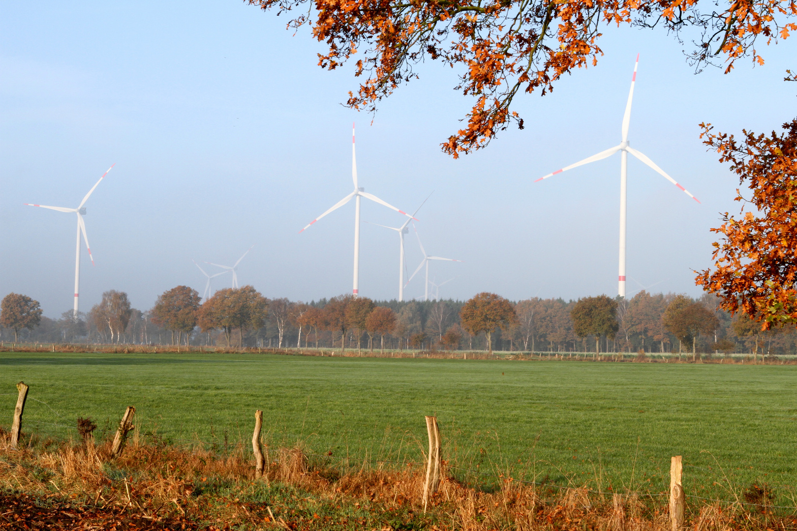 Die Sonne macht den Blick frei auf die Windräder