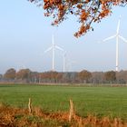 Die Sonne macht den Blick frei auf die Windräder