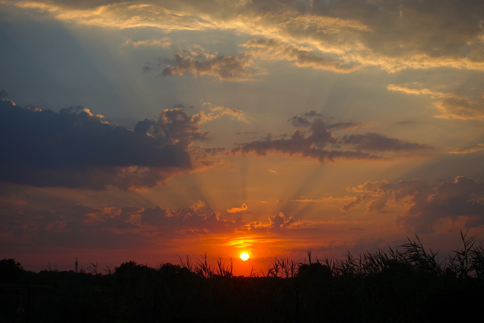 Die Sonne macht sich rar... 