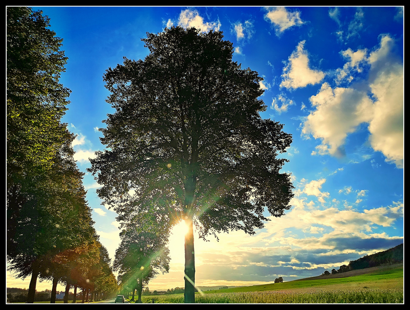 Die Sonne malt die schönsten Gemälde