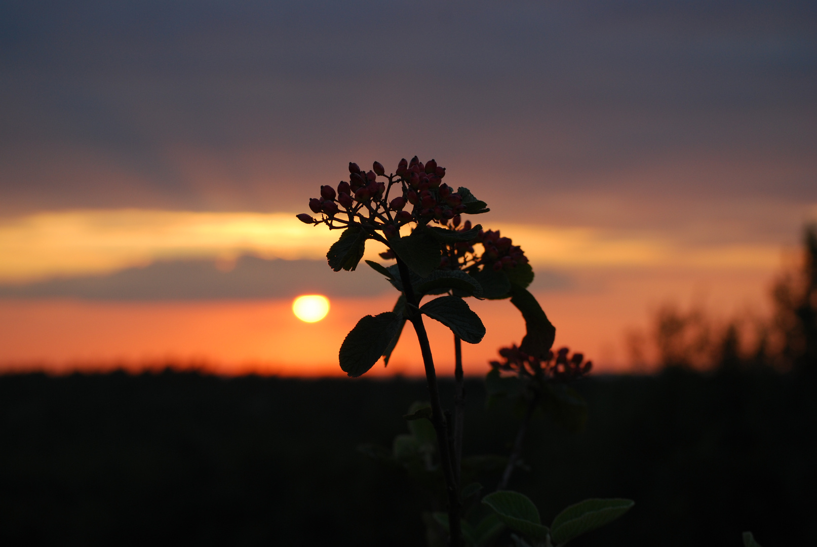 Die Sonne neigt sich zur Ruh´