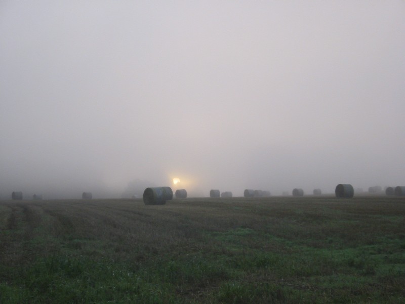 die Sonne quält sich durch den Nebel