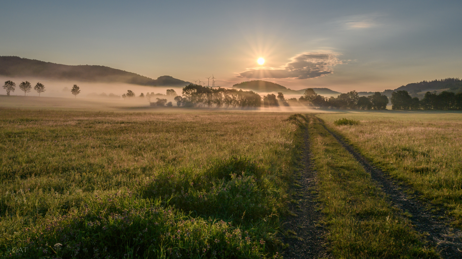 Die Sonne saugt den Nebel auf