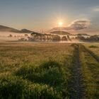 Die Sonne saugt den Nebel auf