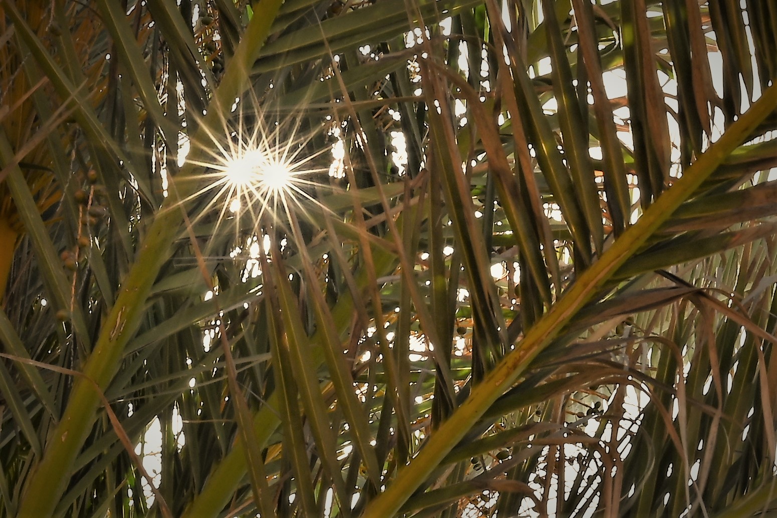 Die Sonne schafft den Durchblick doppelt...