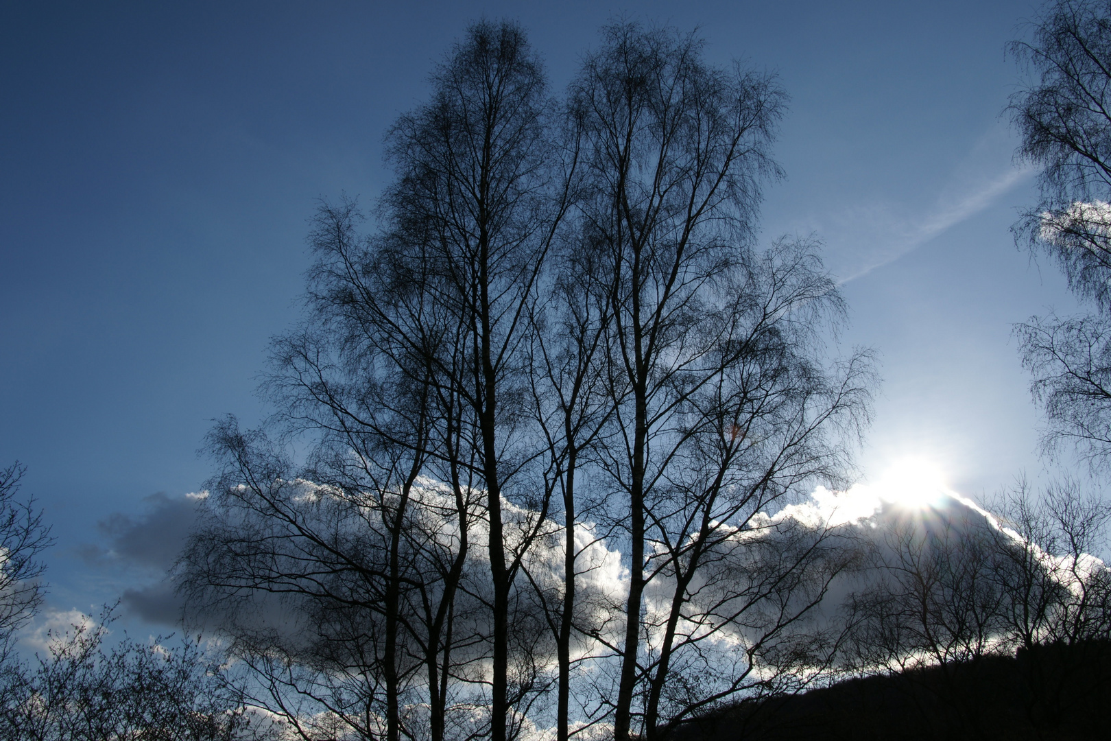 Die Sonne schaut über die Frühlingspforte