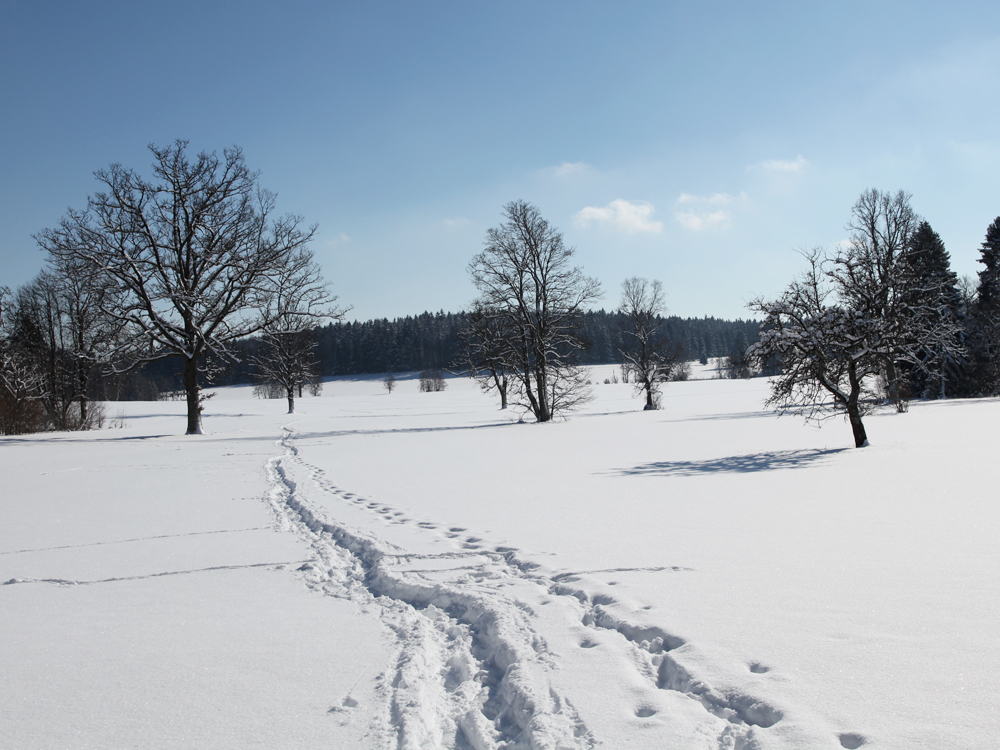 ....die Sonne scheint!