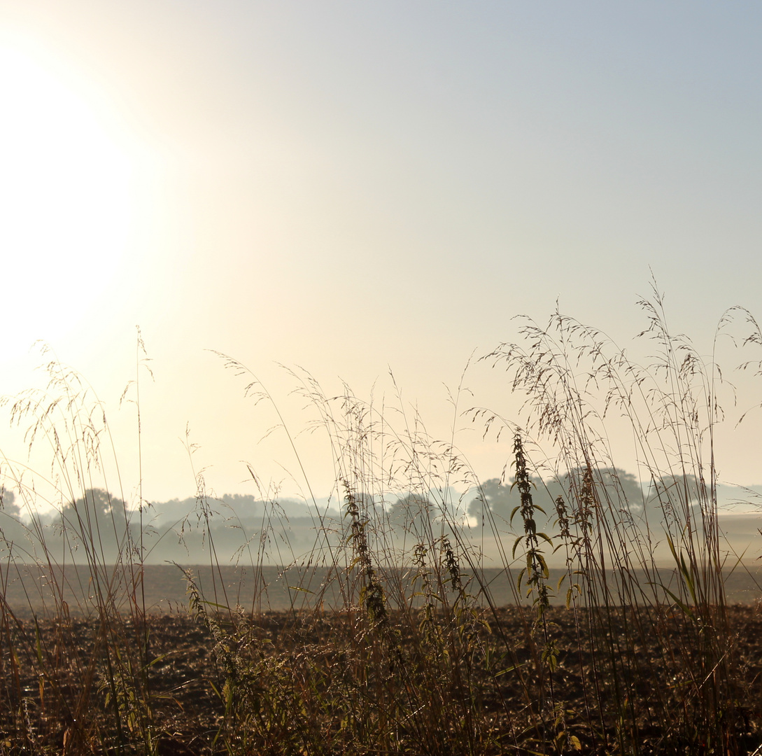 Die Sonne scheint ...