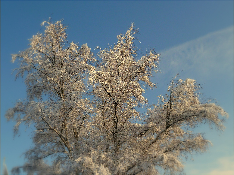 Die Sonne scheint