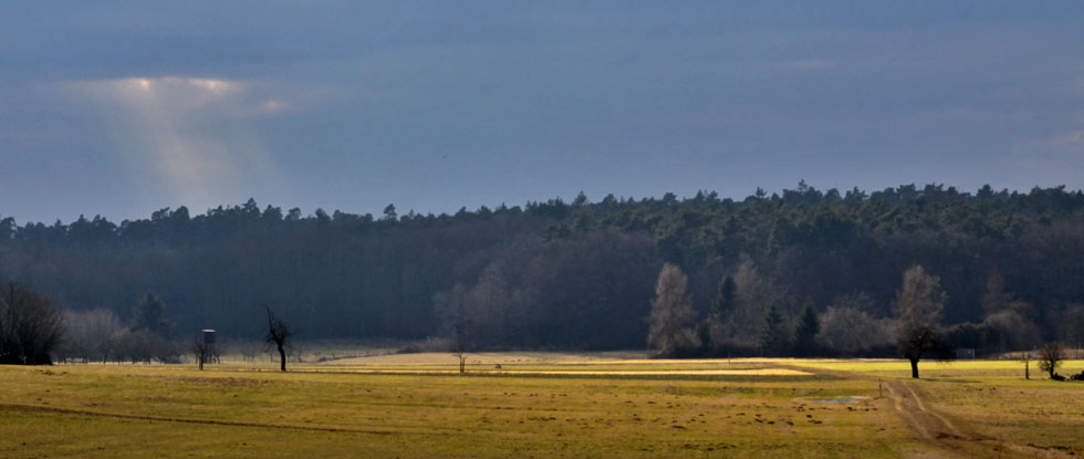 die Sonne scheint 