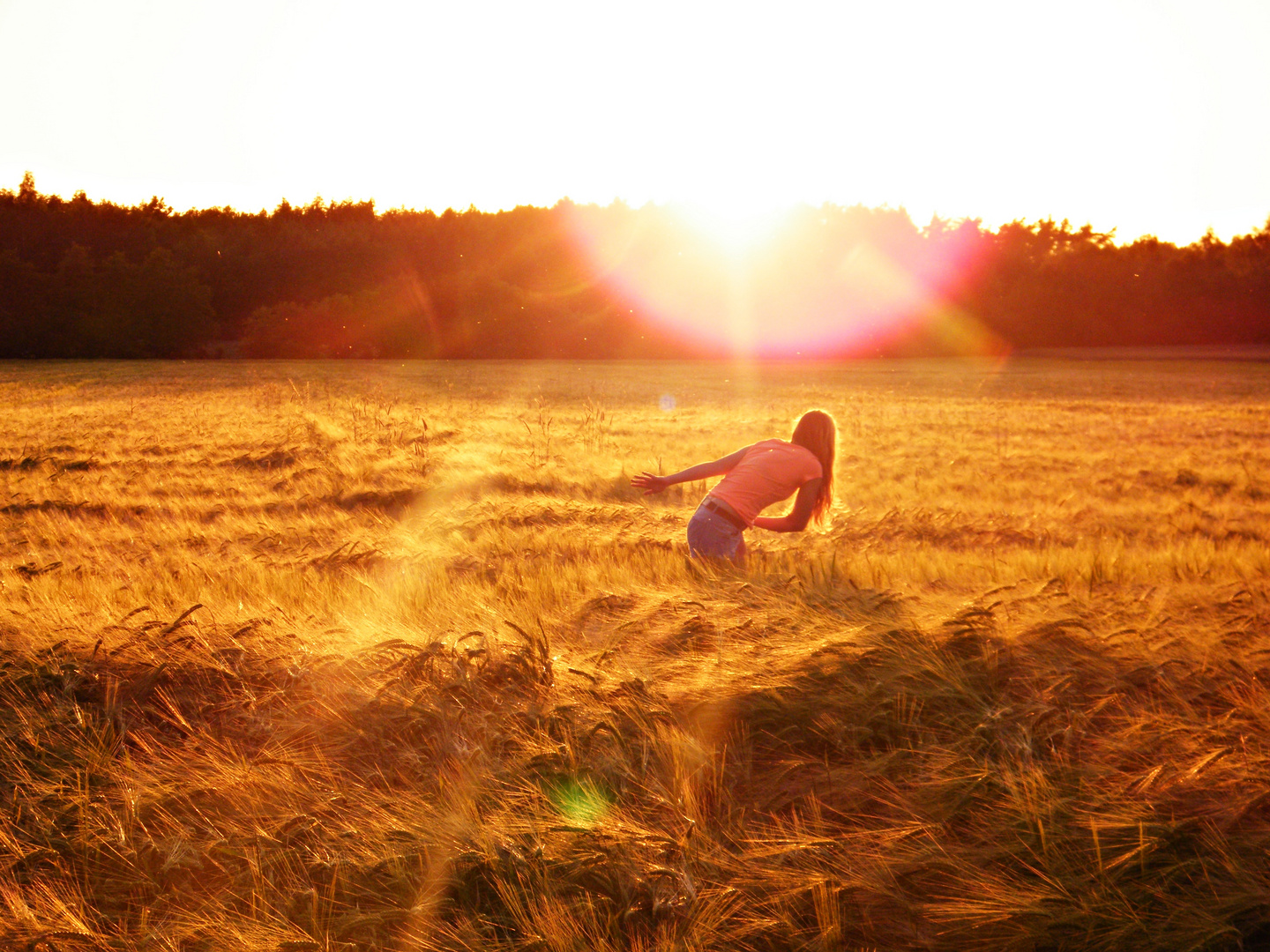 Die Sonne scheint ins Kornfeld!