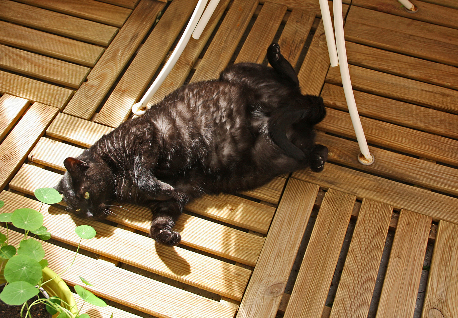 Die Sonne scheint mir auf dem Bauch ....