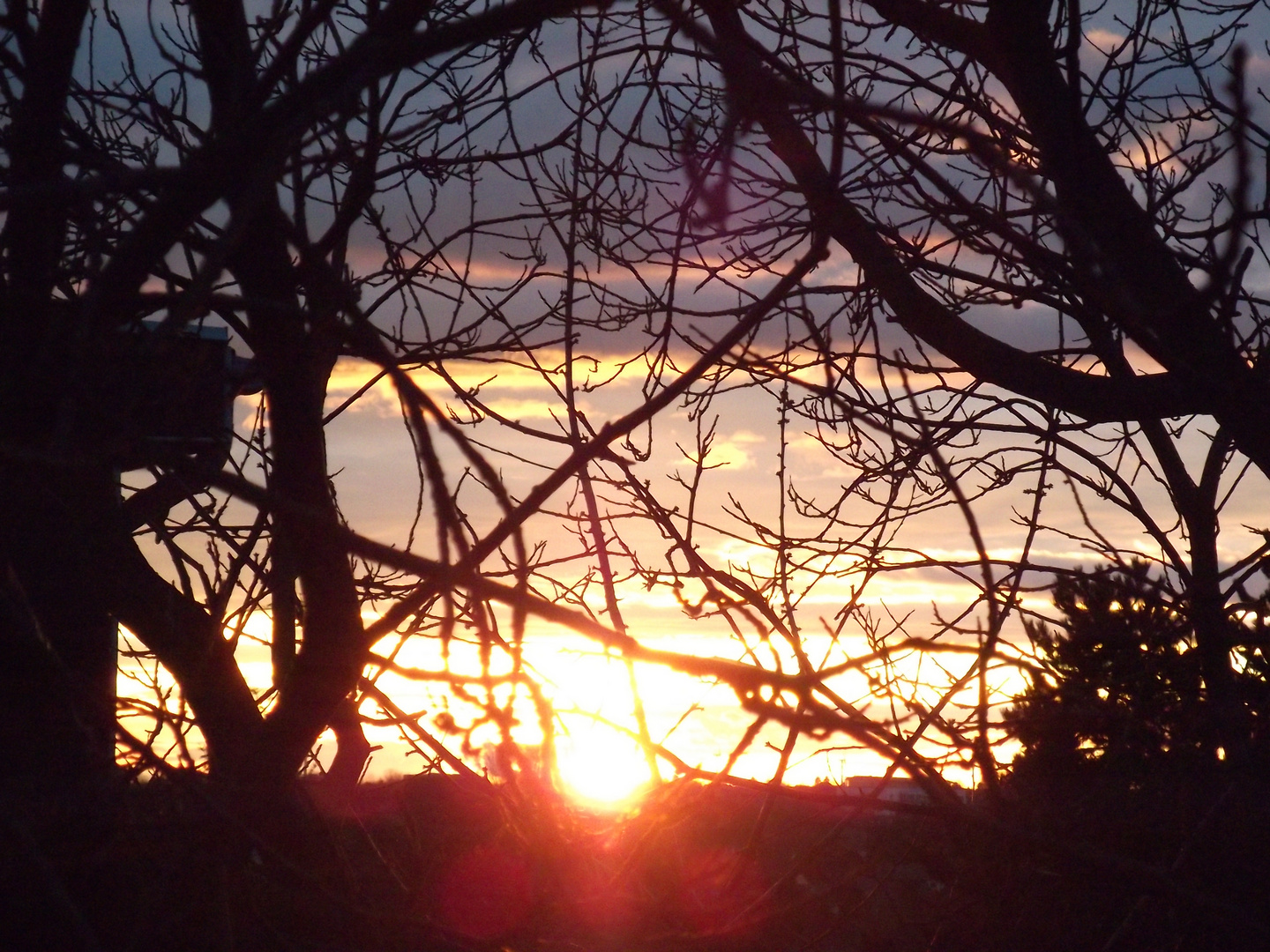 die Sonne scheint überall