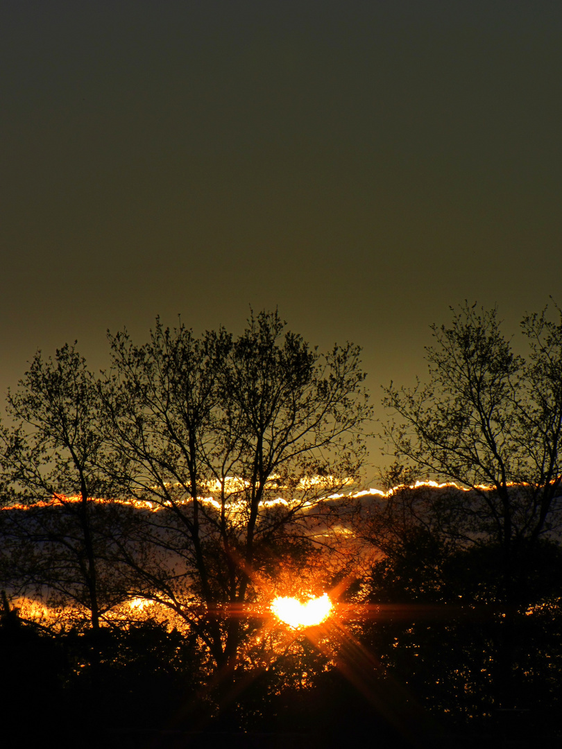 Die Sonne schickt ein Herz