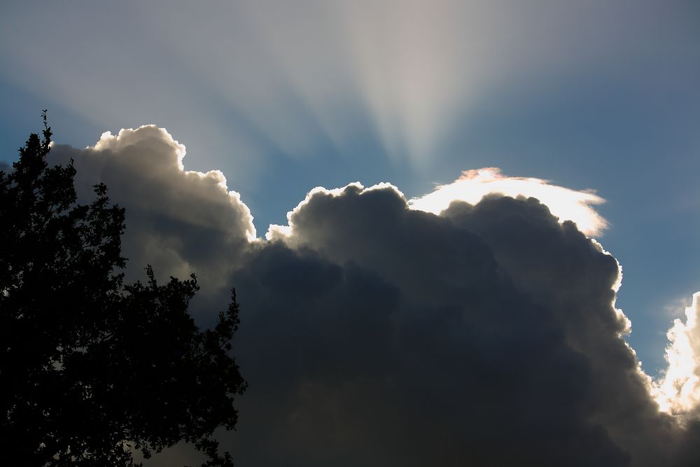 Die Sonne schickt ihre Strahlen aus.....