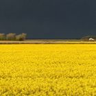 Die Sonne schien auf der anderen Seite...