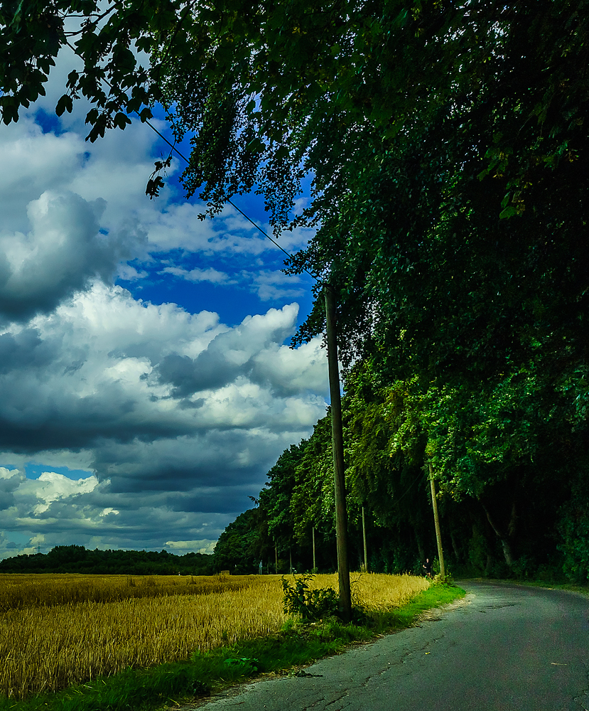 Die-Sonne-setzt-sich-durch