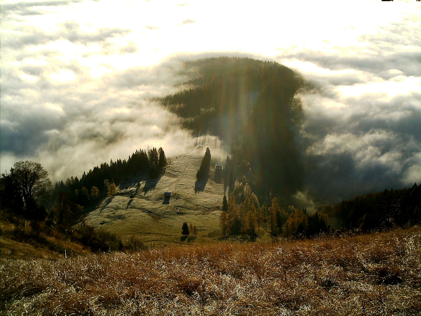 Die Sonne !! Sieger über den Nebel .........