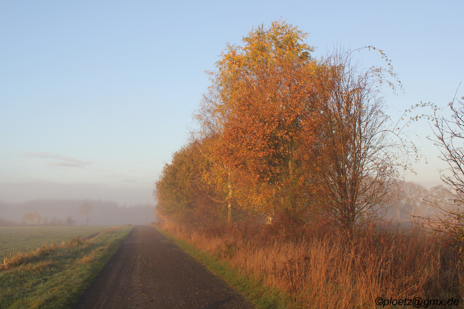 Die Sonne siegt.