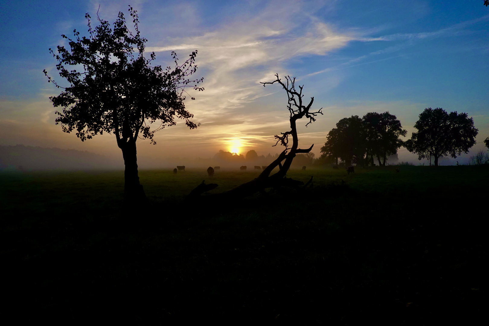 Die Sonne spendet uns  Wärme und schöne Fotos