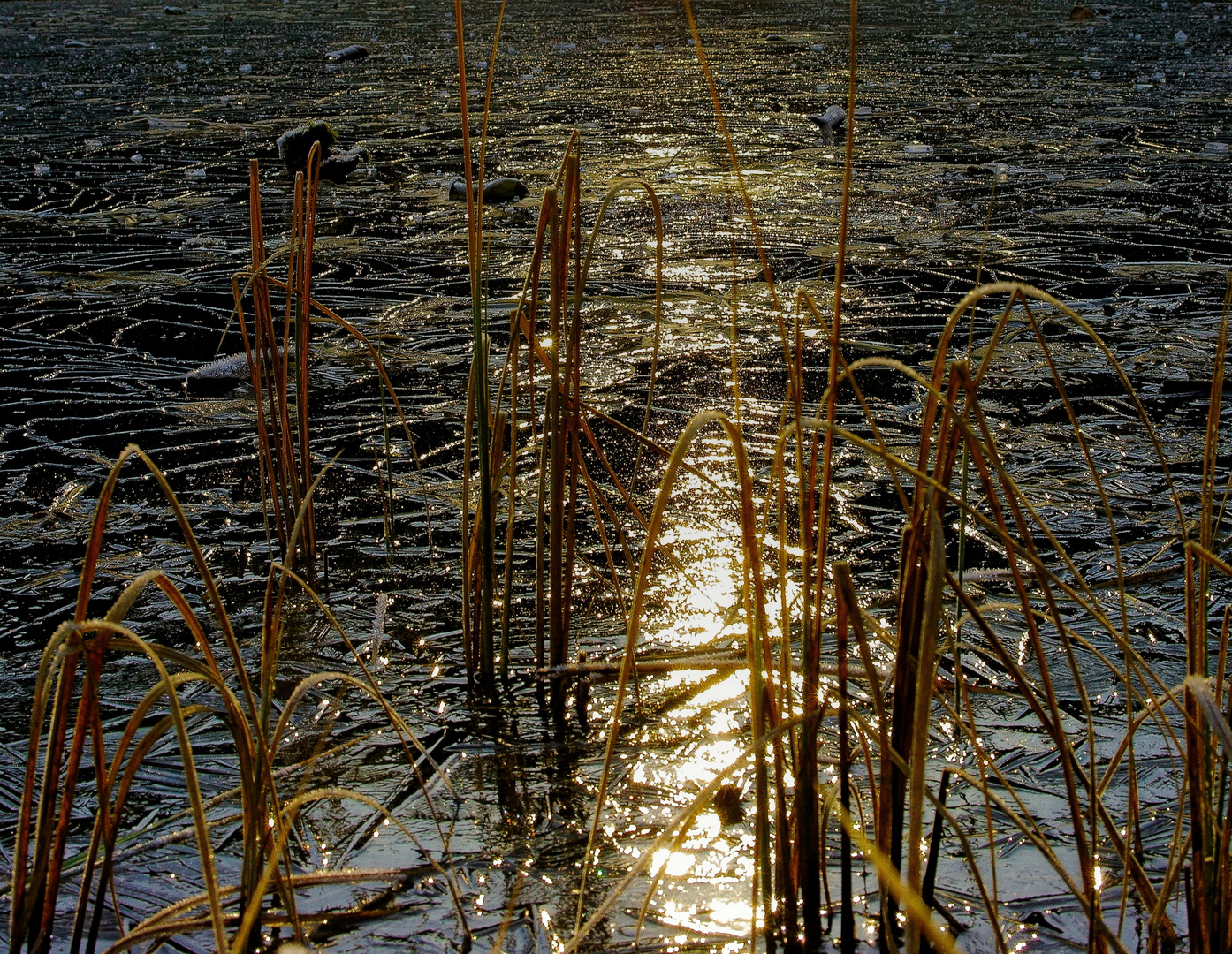 Die Sonne spiegelt sich auf dem Eis.