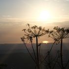 Die Sonne spiegelt sich im Bodensee