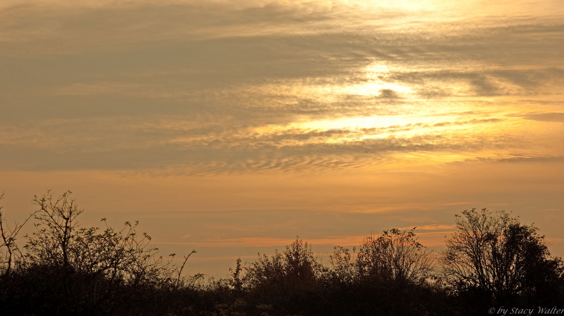 Die Sonne spielt verstecken